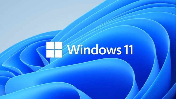 Windows 11 Basics to Advanced Practice Exams